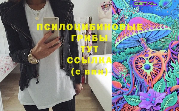амф Алексеевка